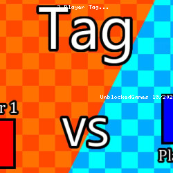 2 Player Tag