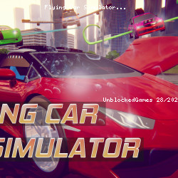 Flying Car Simulator