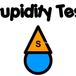 Stupidity Test